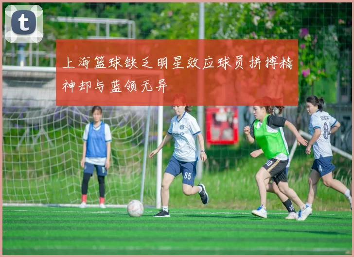 上海篮球缺乏明星效应球员拼搏精神却与蓝领无异
